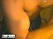 12InchesLong photo # 8