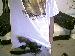 187_4_U photo # 3