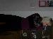 1hotmomma05 photo # 12