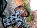 28051980 photo # 4