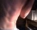 5HIFT9EARS photo # 3