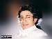 __Bull_2K2__ photo # 7