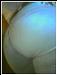 __SEDUCTiiVE photo # 7
