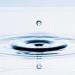 __o__ photo # 1