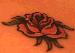 _AsHlEY_6792 photo # 8