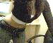 _brazillese_ photo # 14