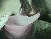 _CaiT_ photo # 4