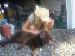 _Jaaade_ photo # 10