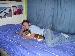 _Raz_ photo # 1