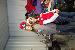 aces_gurl photo # 1