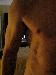 ae058 photo # 7
