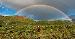 aggie5807 photo # 1