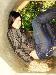 alliyg photo # 3