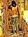 ammogunsnroses photo # 12