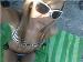 Andrea69 photo # 1