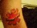 Anthony657 photo # 3