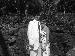 Apollo14 photo # 5