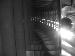ArienRa photo # 5