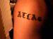 ATLAS_13 photo # 7