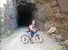 Australopithecu photo # 2