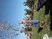 auprospector photo # 1