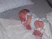 Babyboyinred photo # 3