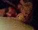 BadBunni photo # 1