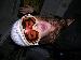 babyboatz photo # 4