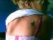 babyphat23 photo # 10