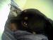 bb_b0y photo # 7