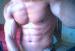 Bermyboy photo # 8