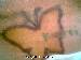 beachbabi16 photo # 8