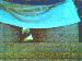 bee76 photo # 10
