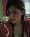 beestew photo # 1