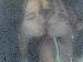 bella_latina photo # 4