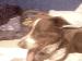 ben41086 photo # 8