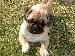 benny2006 photo # 5
