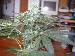 bigdrkchokl8 photo # 9
