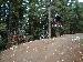 bikeparkrat photo # 3