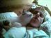 biker_cjm69 photo # 3