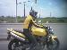 bikerboy24 photo # 1