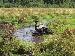 billsmith4x4 photo # 1