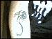 Black6Dragon photo # 1