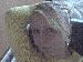 Blondi_Mwahh photo # 7