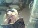 blondliss photo # 1