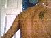 bluedragon69 photo # 4
