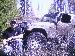 blur24601 photo # 2