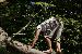 Bobbo03 photo # 1