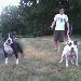 boarder25 photo # 1