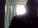 BradleyT photo # 2